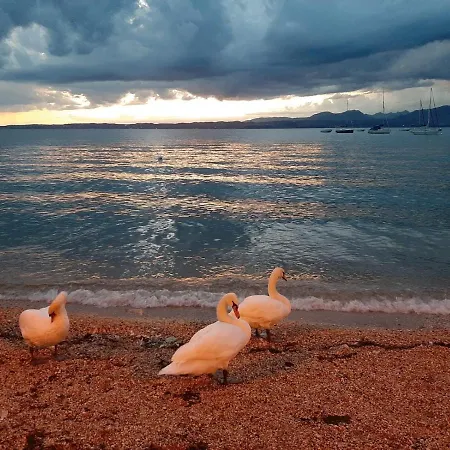 Lägenhet Front With Loft Bed And Pool *