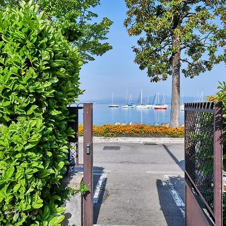 Front With Loft Bed And Pool